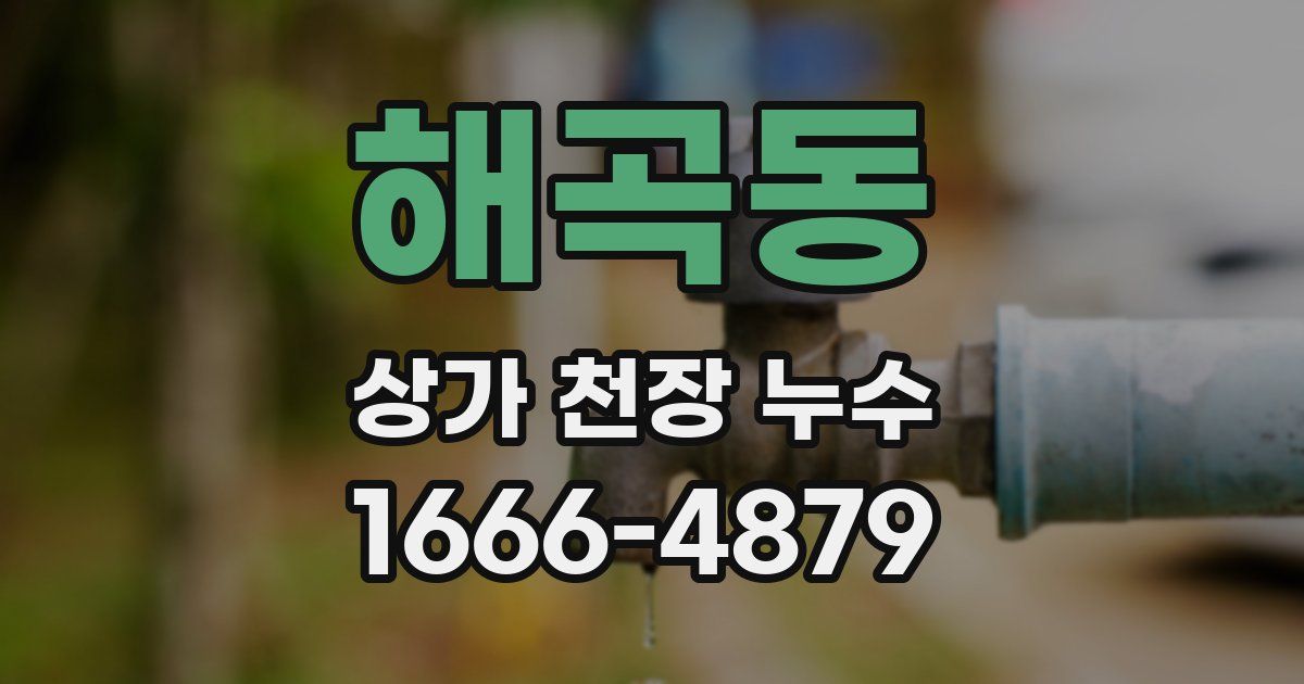 해곡동 상가 천장 누수