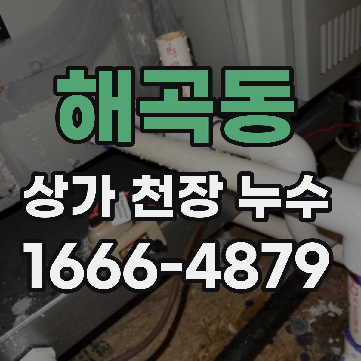 해곡동 상가 천장 누수