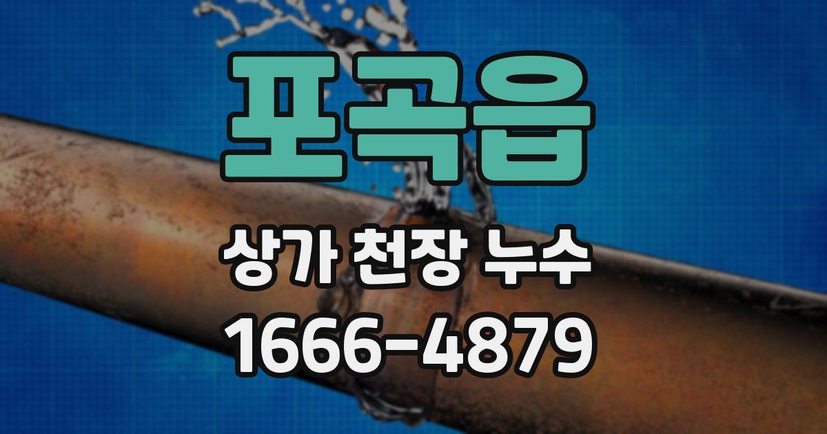 포곡읍 상가 천장 누수
