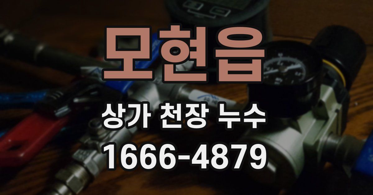 모현읍 상가 천장 누수