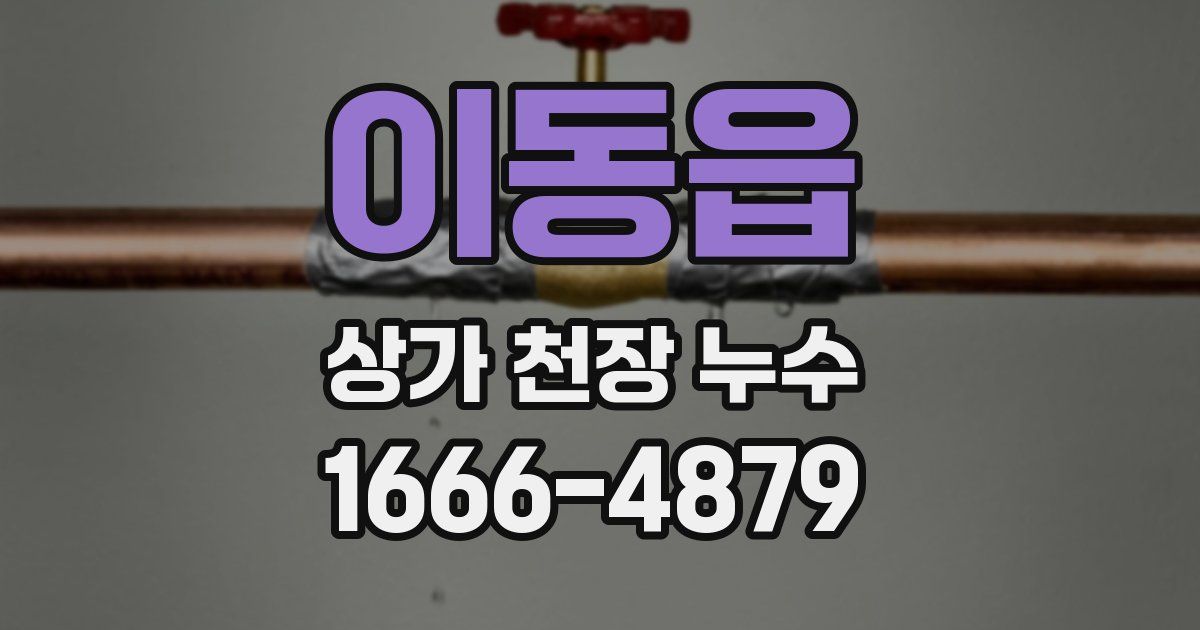 이동읍 상가 천장 누수