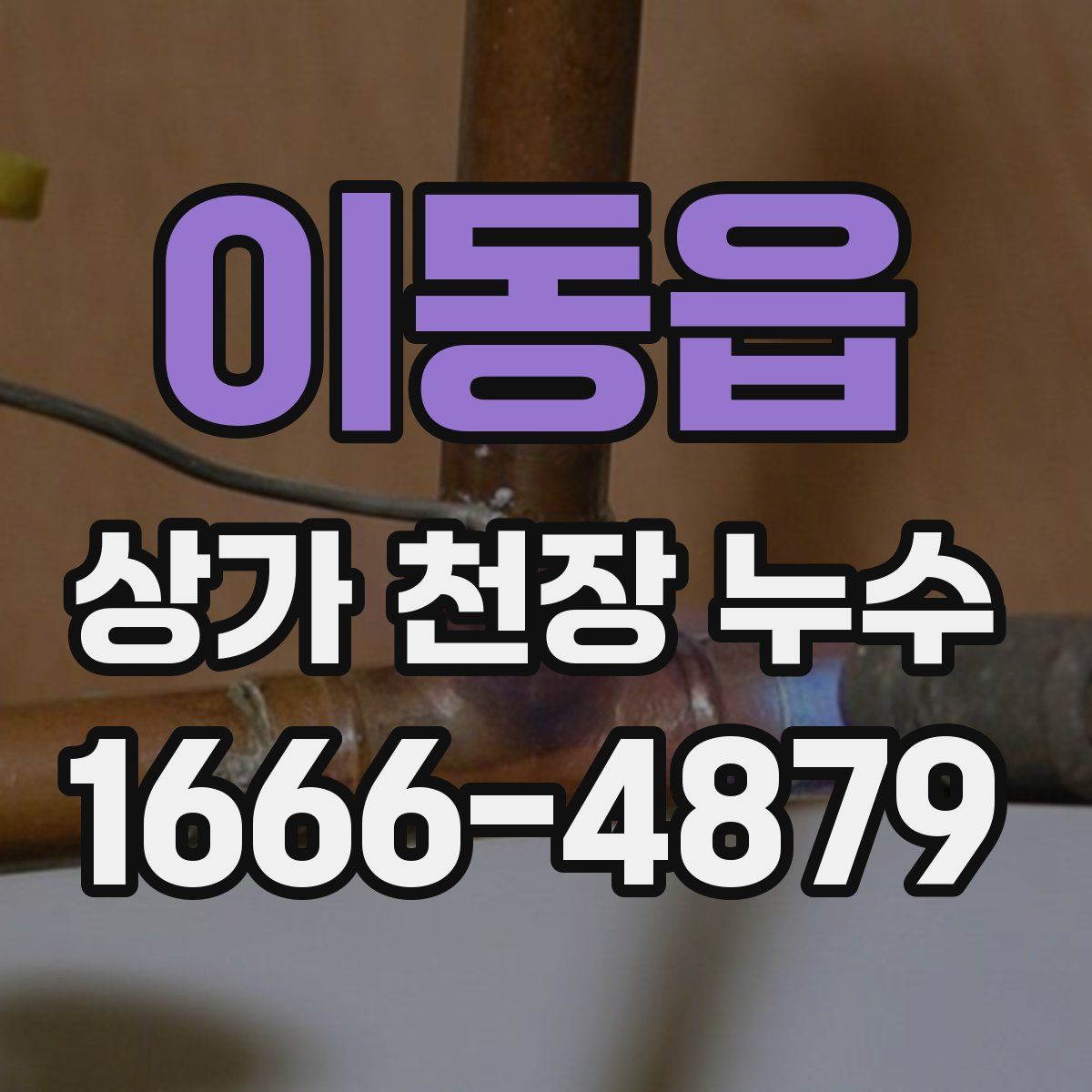 이동읍 상가 천장 누수