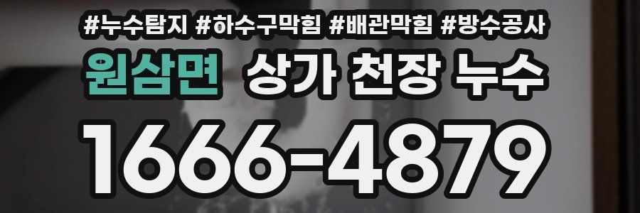 원삼면 상가 천장 누수