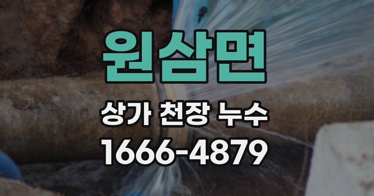 원삼면 상가 천장 누수