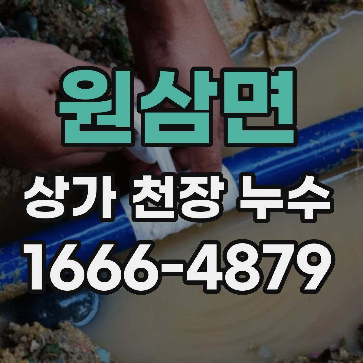 원삼면 상가 천장 누수