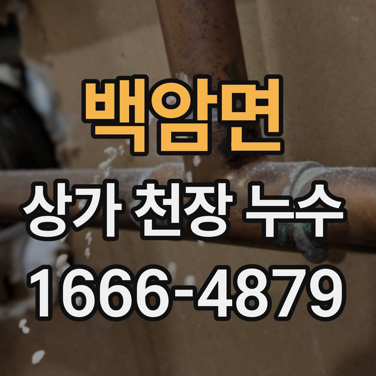 백암면 상가 천장 누수