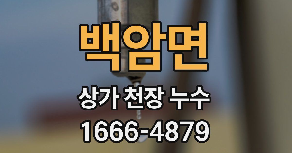 백암면 상가 천장 누수