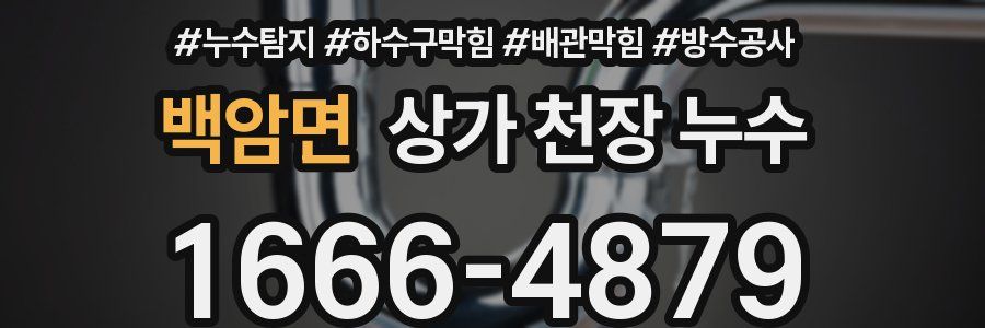 백암면 상가 천장 누수