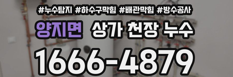 양지면 상가 천장 누수