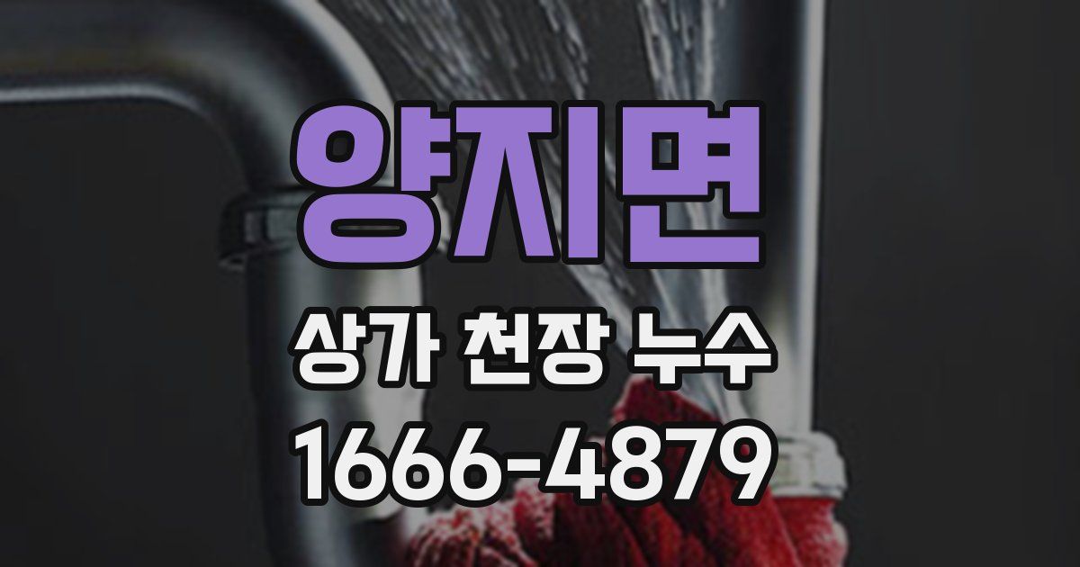 양지면 상가 천장 누수