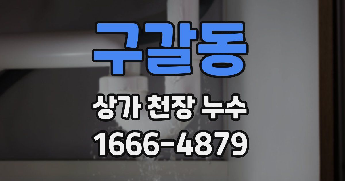 구갈동 상가 천장 누수