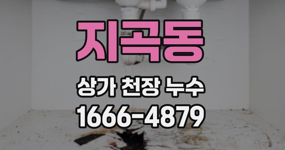 지곡동 상가 천장 누수