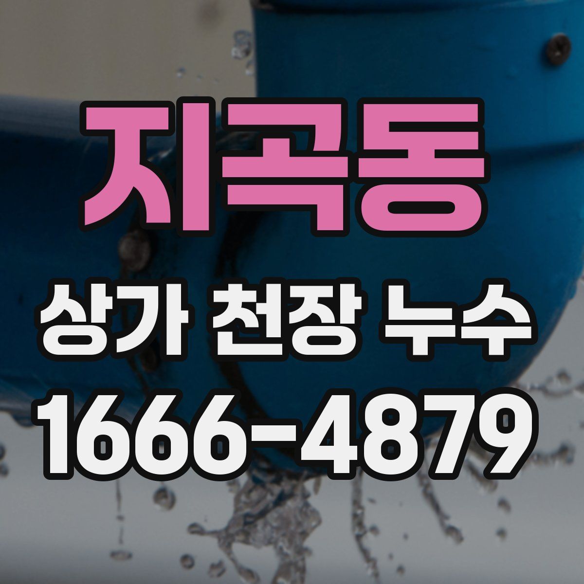 지곡동 상가 천장 누수