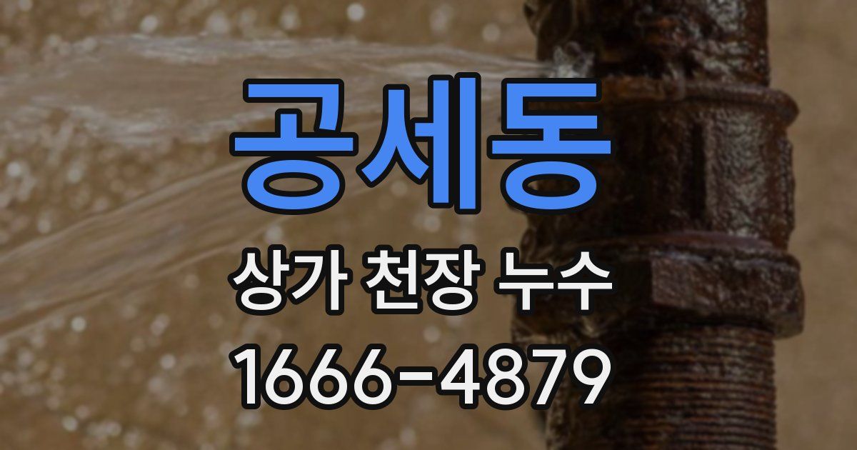 공세동 상가 천장 누수