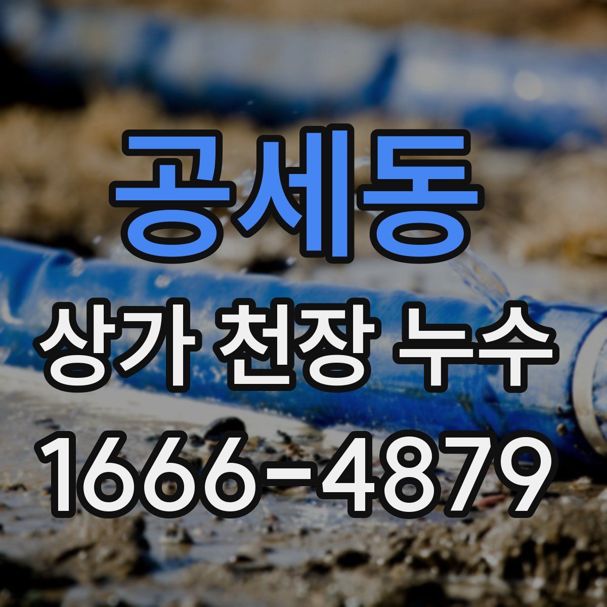 공세동 상가 천장 누수