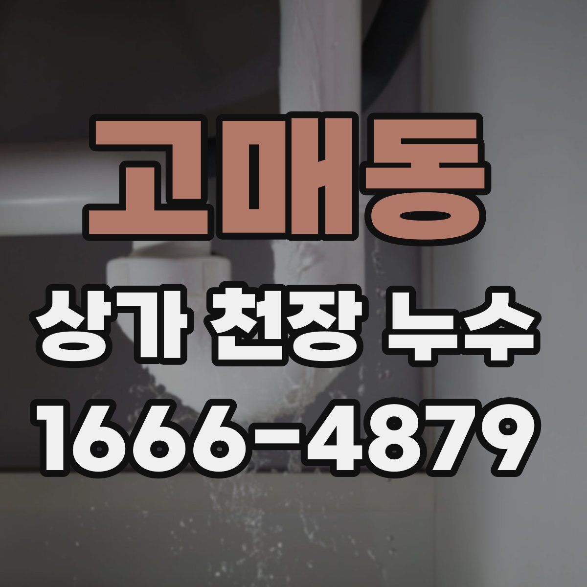 고매동 상가 천장 누수