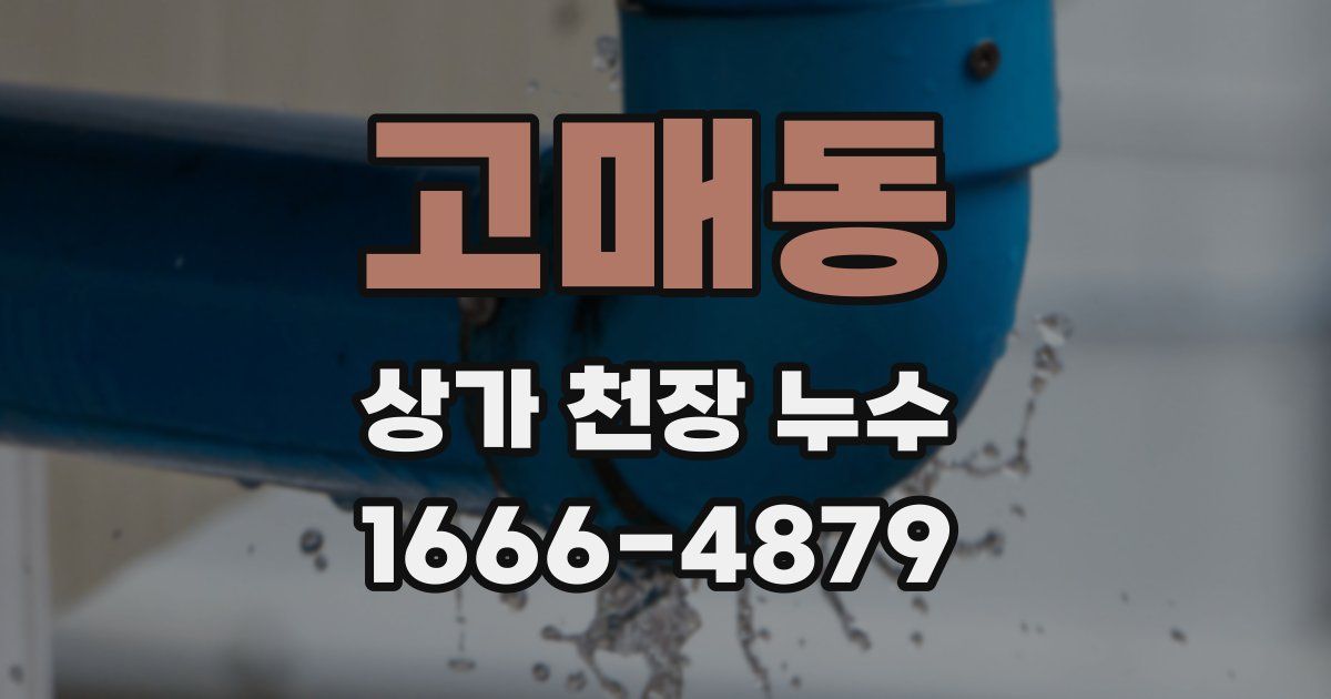 고매동 상가 천장 누수