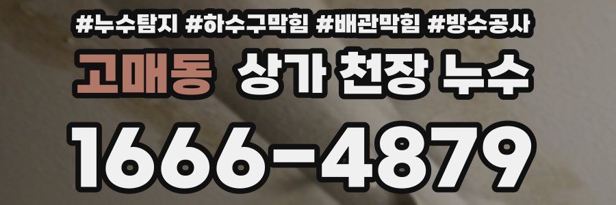 고매동 상가 천장 누수