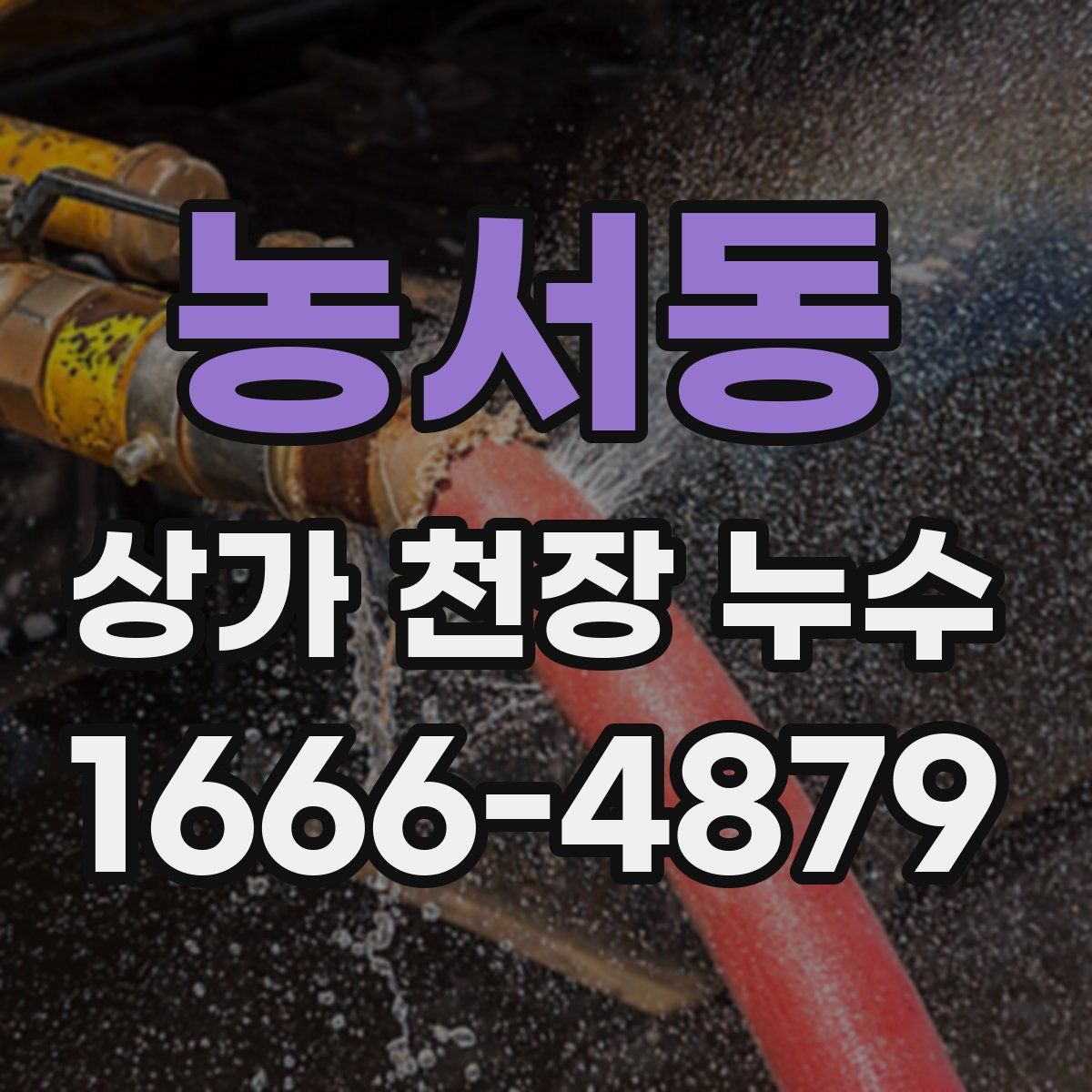 농서동 상가 천장 누수