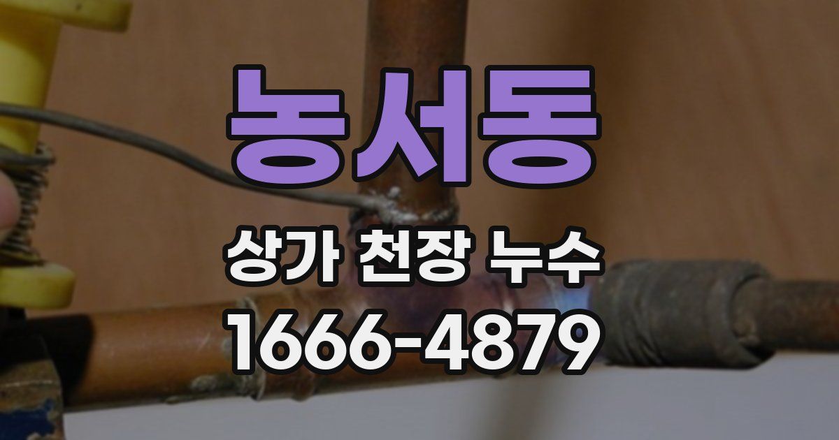 농서동 상가 천장 누수