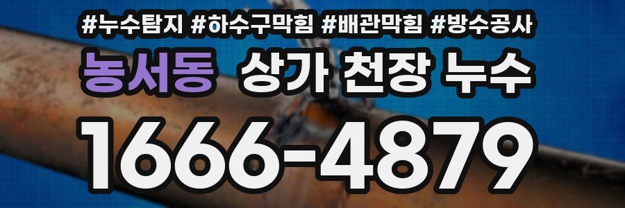 농서동 상가 천장 누수