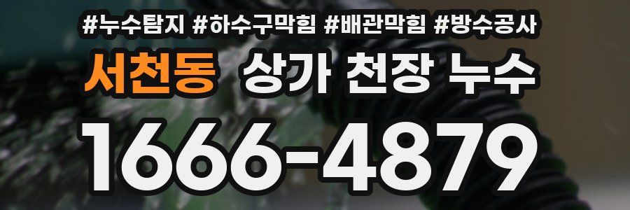 서천동 상가 천장 누수