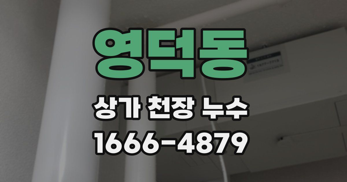 영덕동 상가 천장 누수