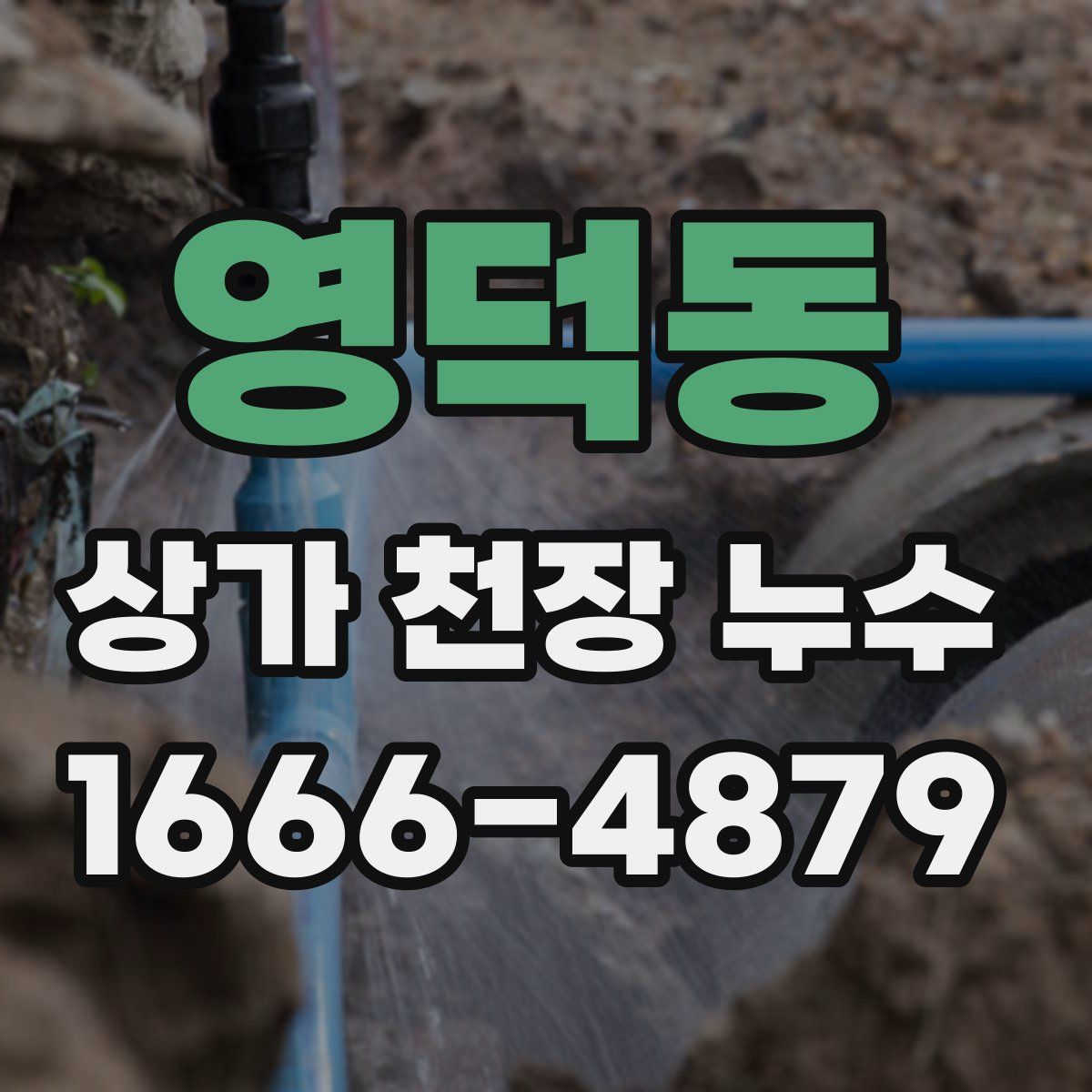영덕동 상가 천장 누수