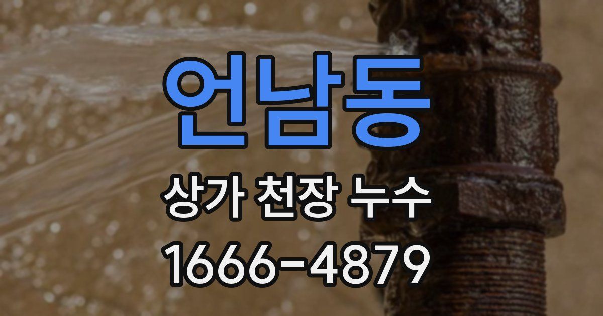 언남동 상가 천장 누수