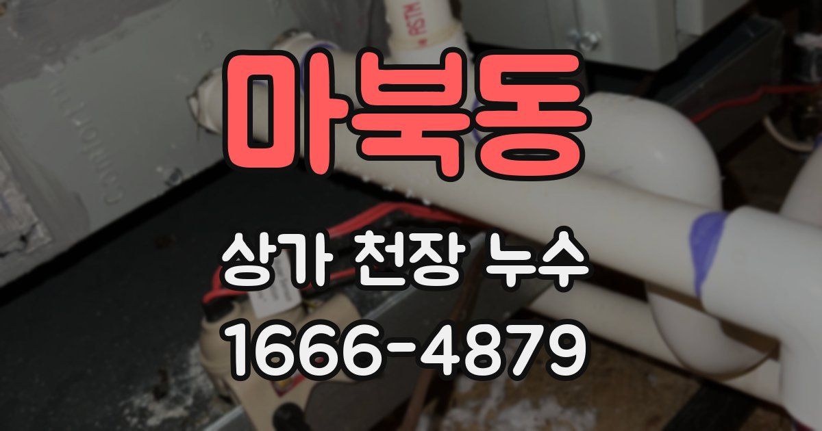마북동 상가 천장 누수