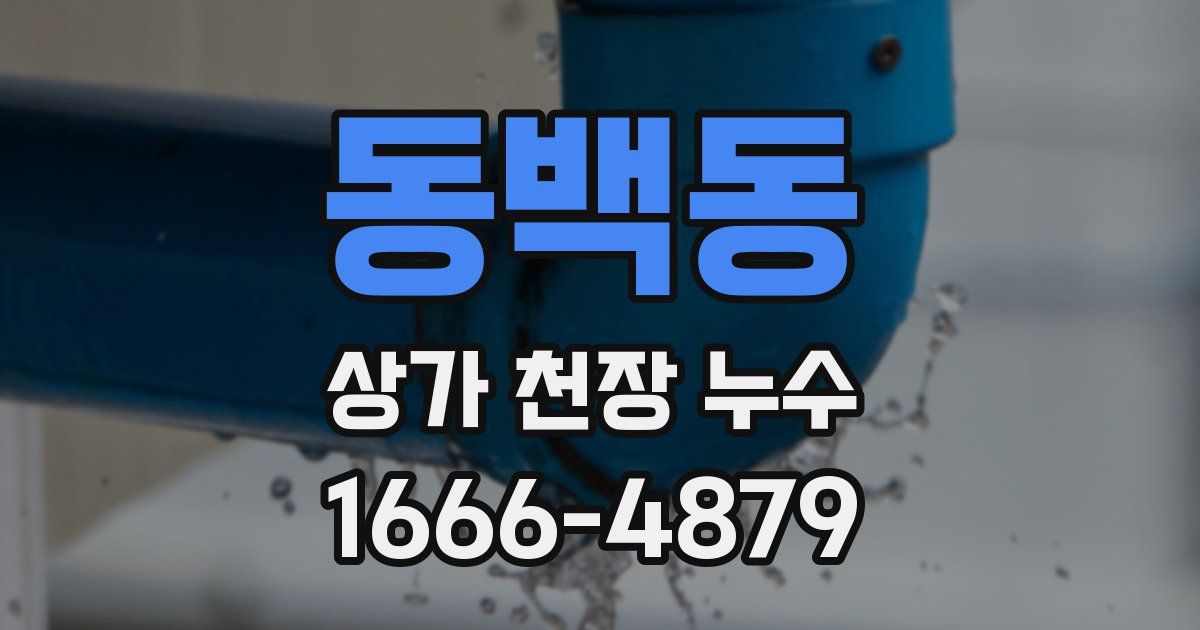 동백동 상가 천장 누수
