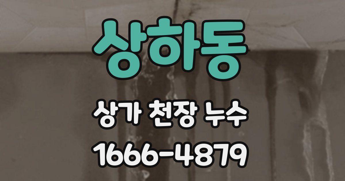 상하동 상가 천장 누수