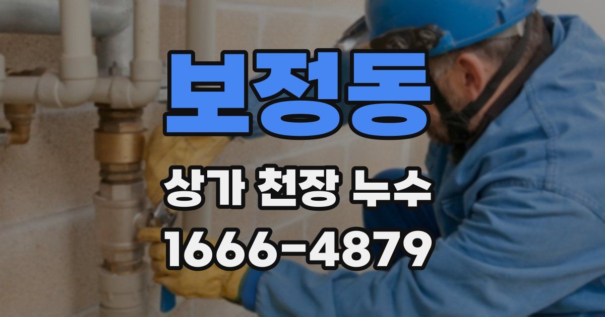 보정동 상가 천장 누수