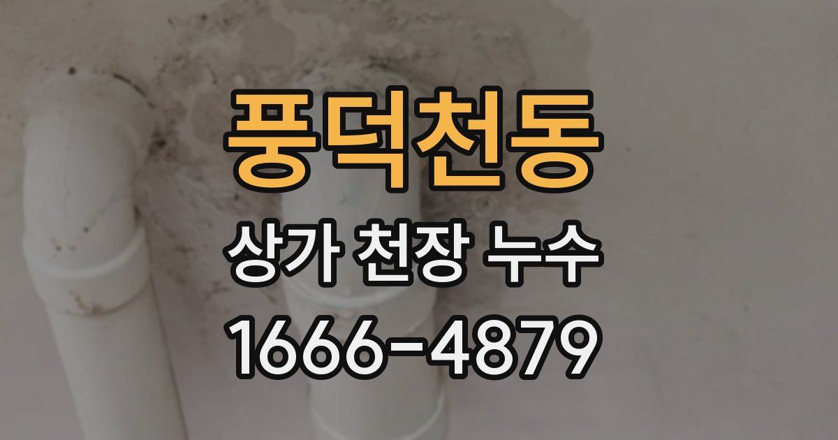 풍덕천동 상가 천장 누수