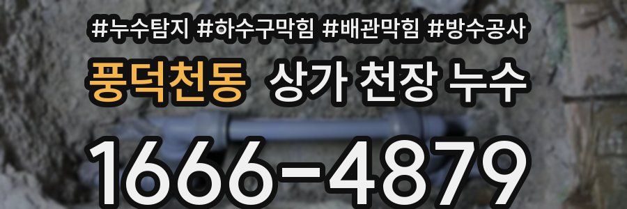 풍덕천동 상가 천장 누수