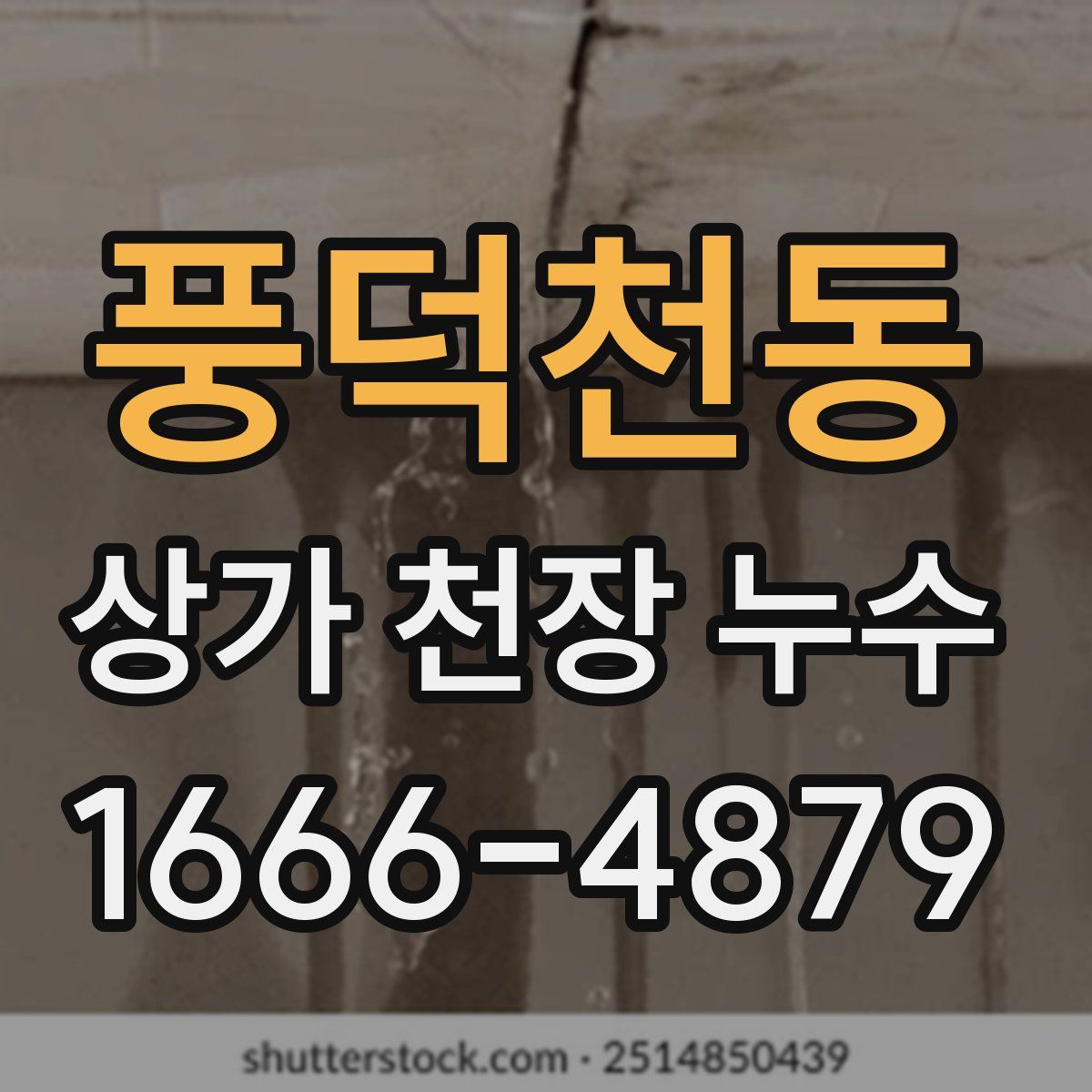 풍덕천동 상가 천장 누수