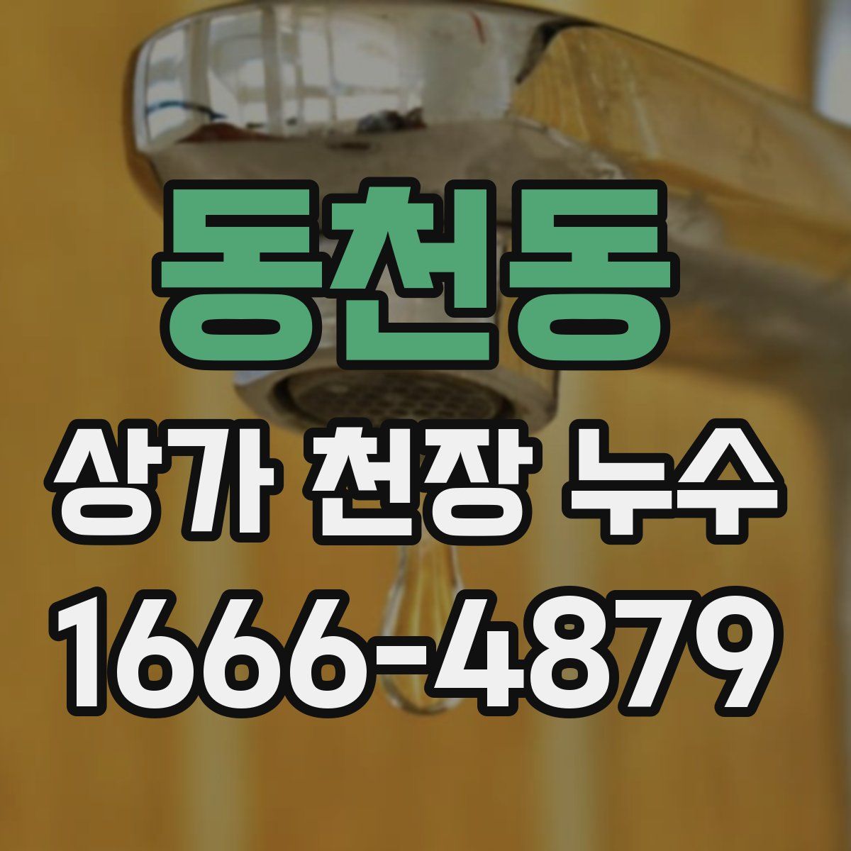 동천동 상가 천장 누수