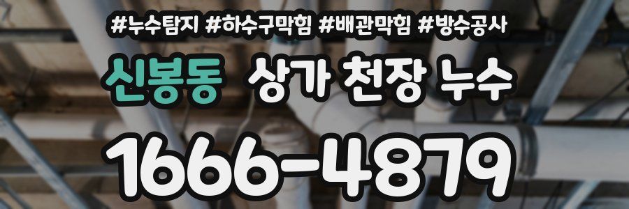 신봉동 상가 천장 누수