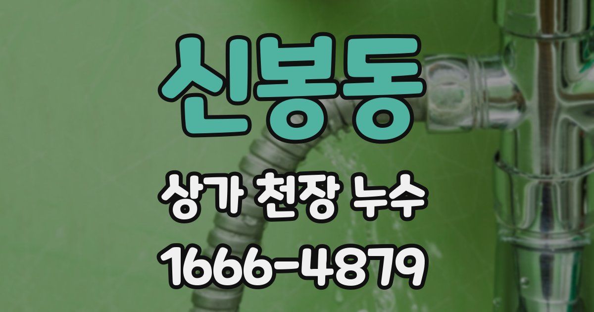 신봉동 상가 천장 누수