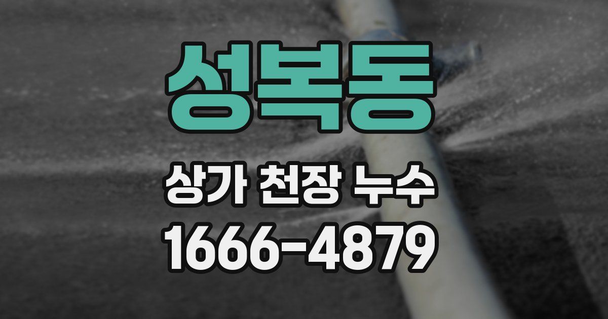 성복동 상가 천장 누수