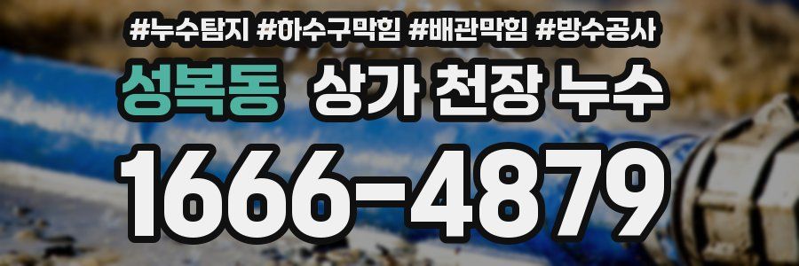성복동 상가 천장 누수
