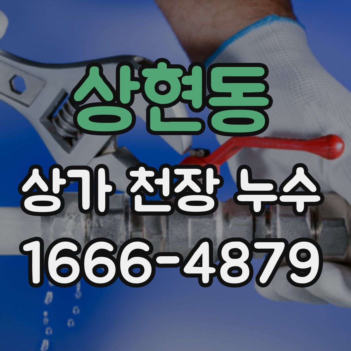 상현동 상가 천장 누수