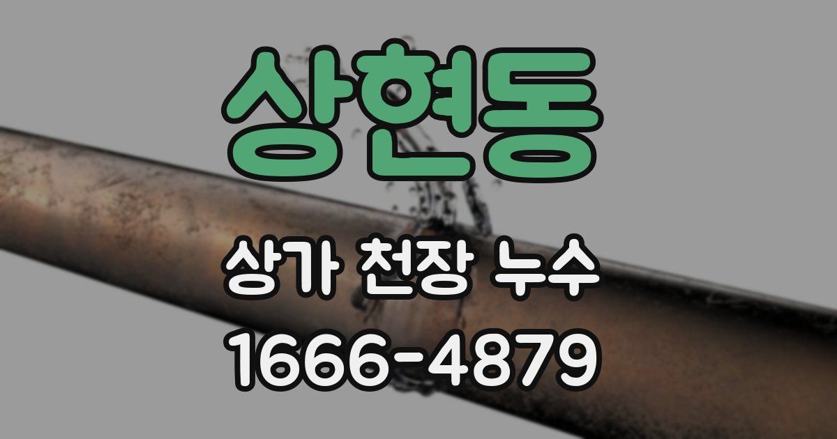 상현동 상가 천장 누수