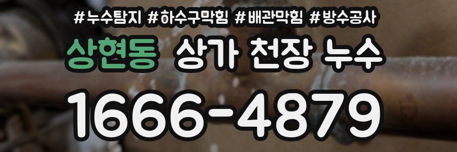 상현동 상가 천장 누수