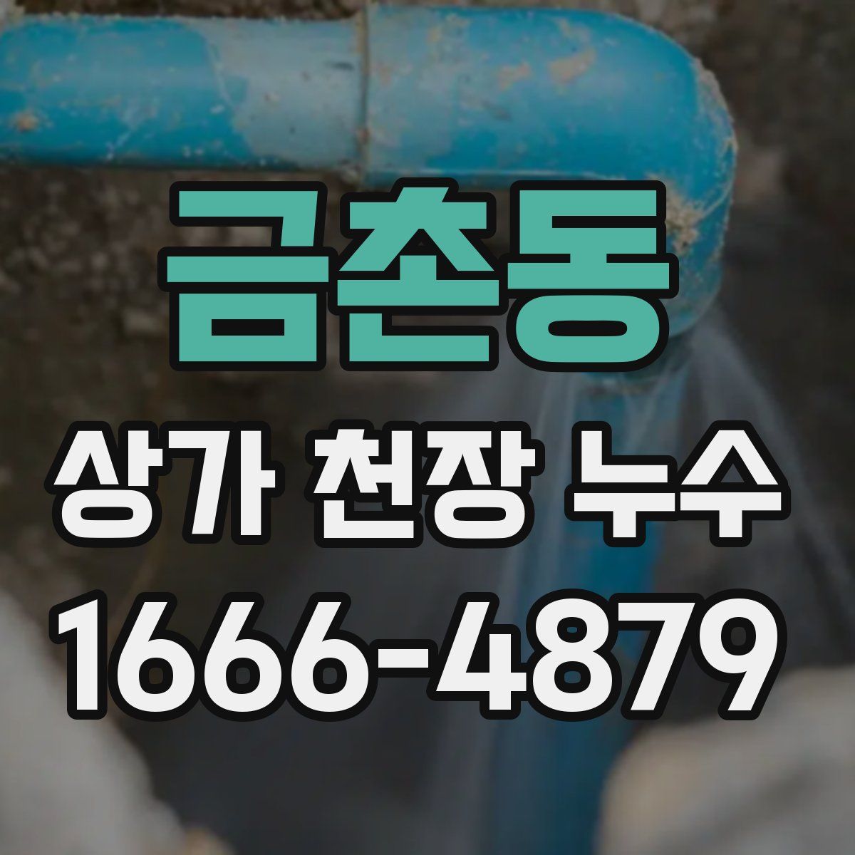 금촌동 상가 천장 누수