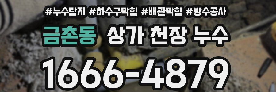 금촌동 상가 천장 누수