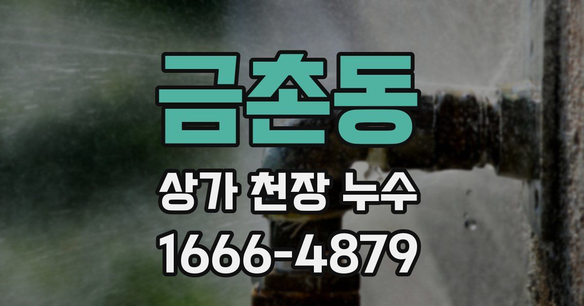 금촌동 상가 천장 누수
