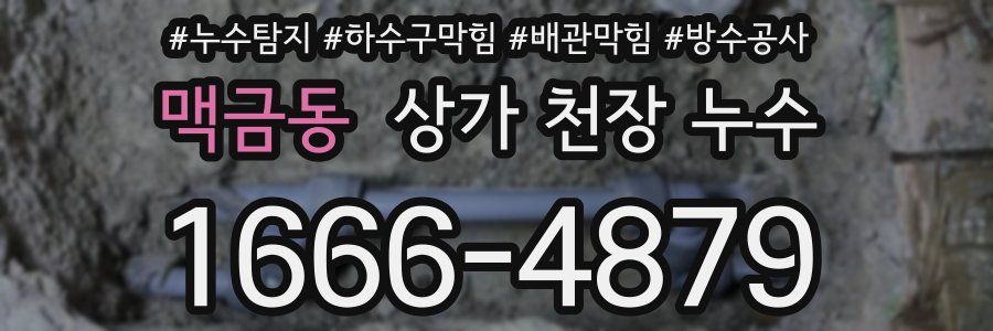 맥금동 상가 천장 누수