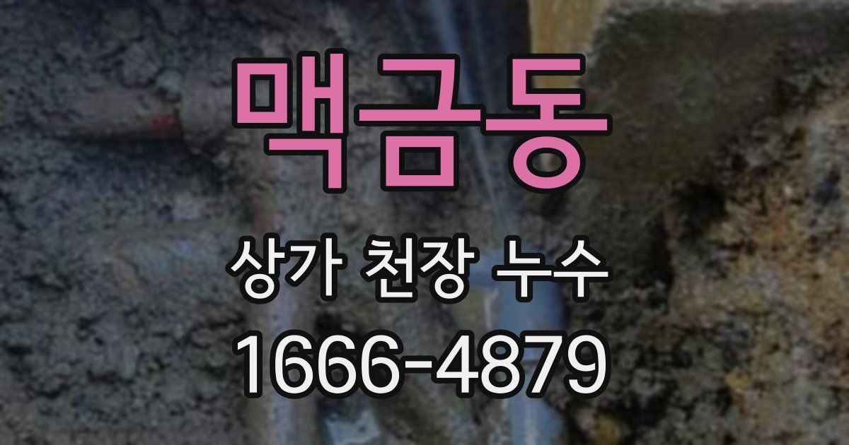 맥금동 상가 천장 누수