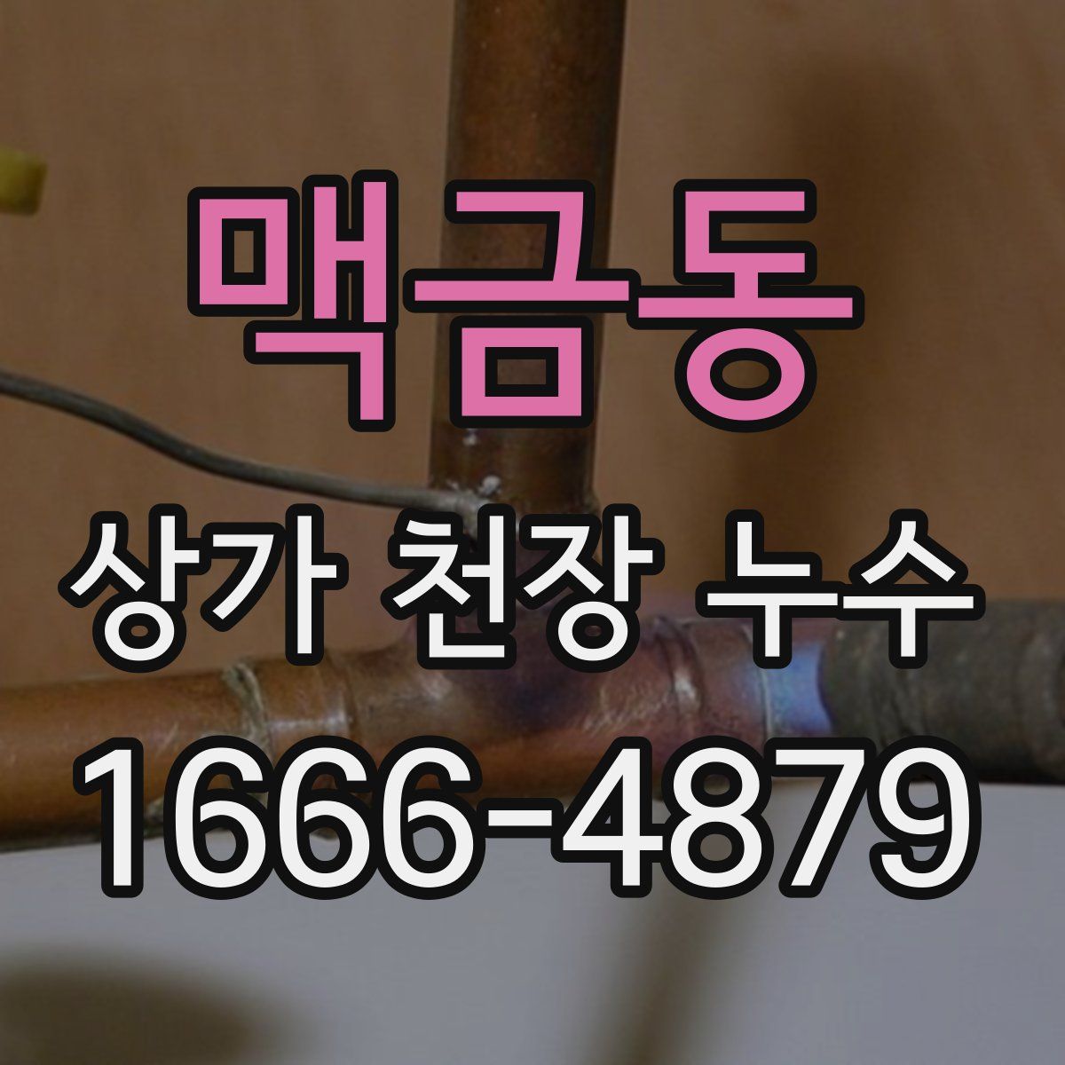맥금동 상가 천장 누수